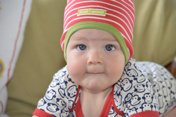 The Elves in the Wardrobe Organic Baby Shower Gift Guide