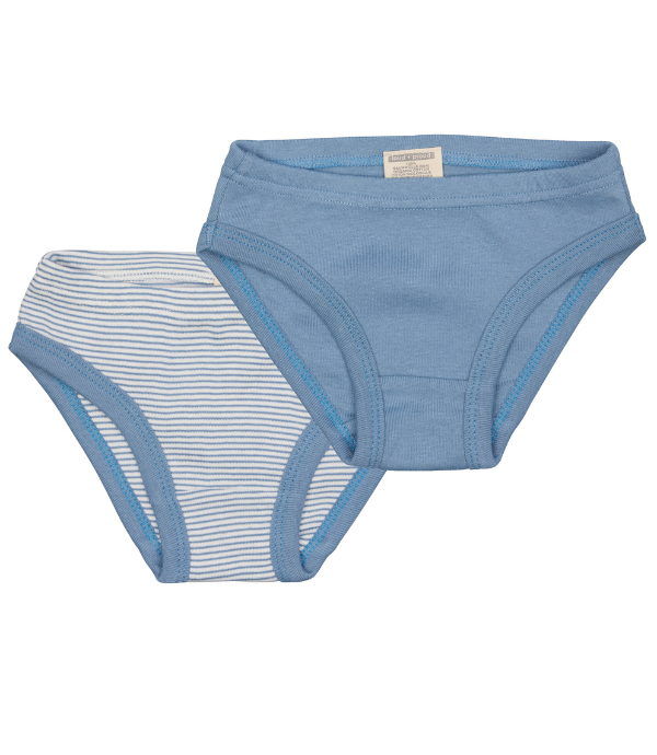 Organic Cotton Briefs Set of 2 Blue